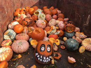 Composting Pumpkins